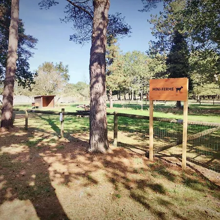 Cosy Equipe Кемпинг