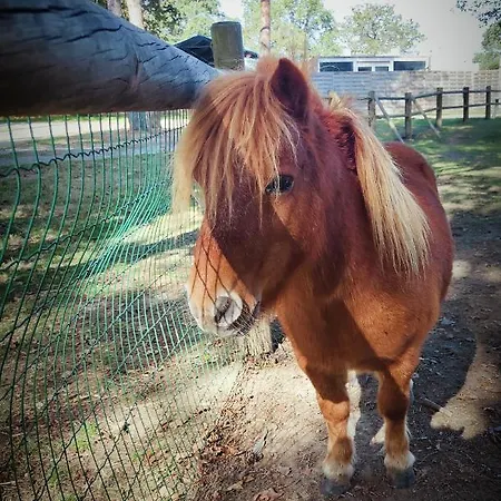 Cosy Equipe Кемпинг La Boissiere-de-Montaigu