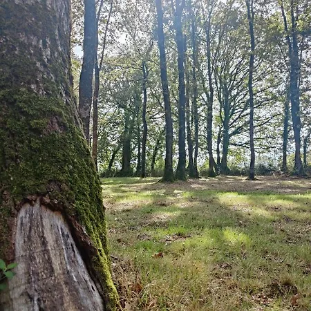 Cosy Equipe Campsite La Boissiere-de-Montaigu