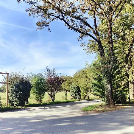 Cosy Equipe Кемпинг *