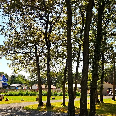 Cosy Equipe * La Boissiere-de-Montaigu