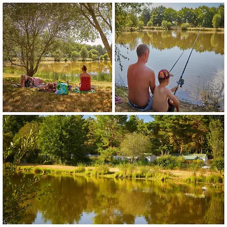 キャンプ場 Cosy Equipe