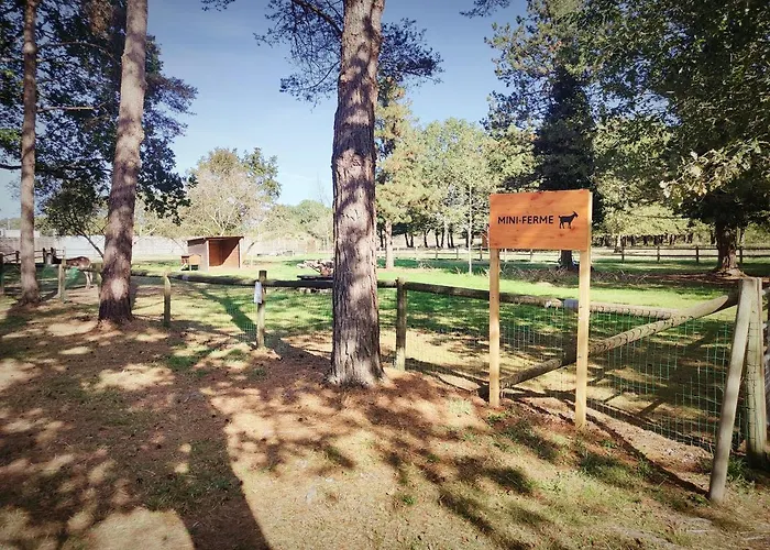 Cosy Equipe キャンプ場