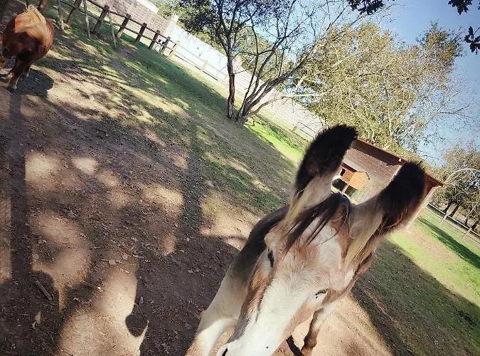 キャンプ場 Cosy Equipe