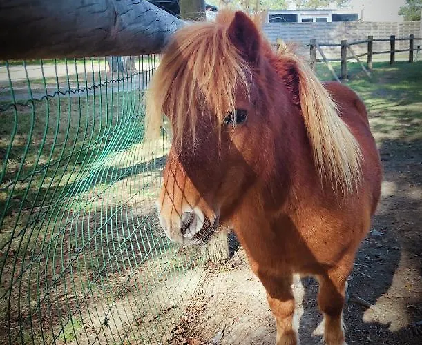 Cosy Equipe Kemp La Boissiere-de-Montaigu