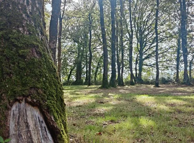 Cosy Equipe キャンプ場 La Boissière-de-Montaigu