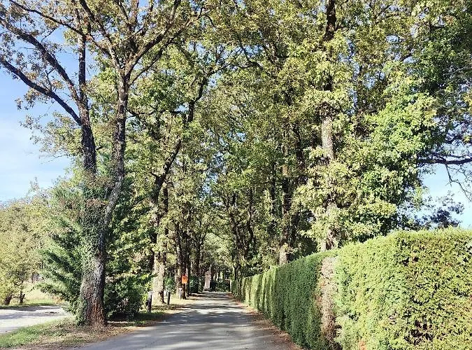 キャンプ場 Cosy Equipe *