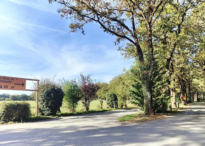 Cosy Equipe キャンプ場 *