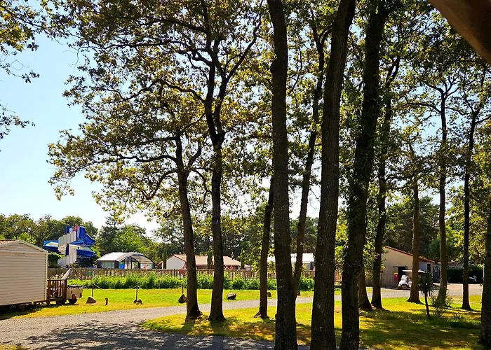 Cosy Equipe * La Boissiere-de-Montaigu